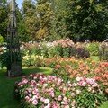 Le tableau des dahlias du parc floral d'orléans