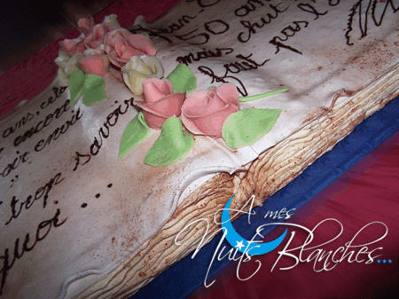 The Livre A Mes Nuits Blanches The Livre A Mes Nuits Blanches