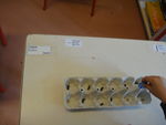 DSC07035