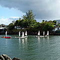 P1280298 (Copier)