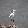 IMG_4714