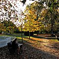 L'automne à Talence, près de Bordeaux