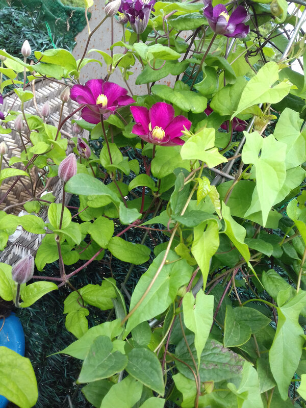 20180617_095428