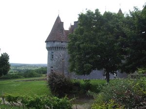 IMGP6780