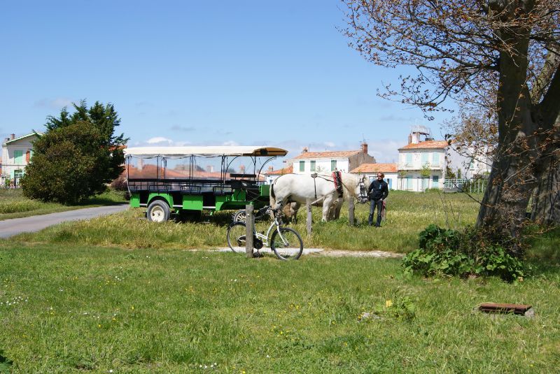 à bicyclette ile d aix