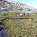 P1260118