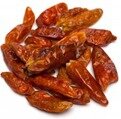 piment-oiseau piment-oiseau