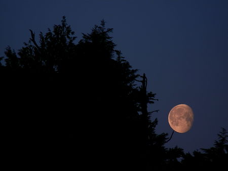 Coucher de lune