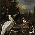 Melchior d'hondecoeter, a pelican and other birds in a water basin, known as' the floating feather, ca. 1680