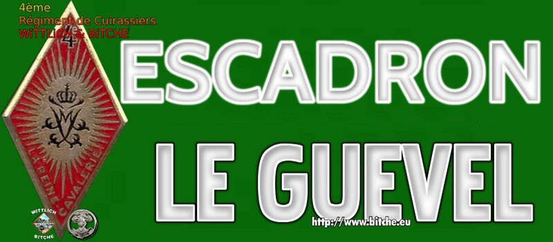 - PANNEAU d' ESCADRON CAPiTAiNE LE GUEVEL