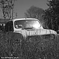 Photos JMP©Koufra 12 - tacot - 14052017 - 018_cr