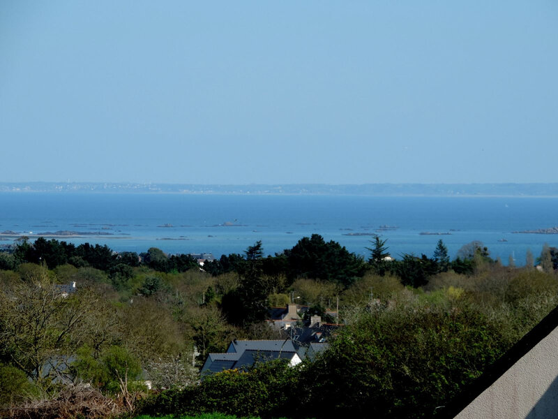 _copie-0_DSCN8773