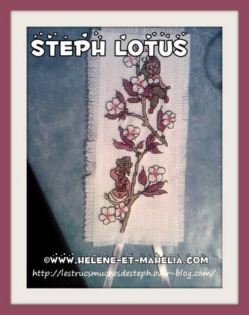 15 Steph Lotus_salmai10