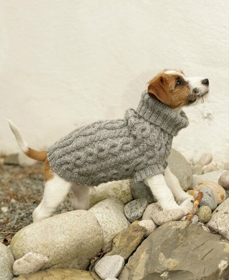 manteau chien en laine