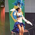 Le brésil à la foire internationale de rennes le 29 mars 2014 (5)