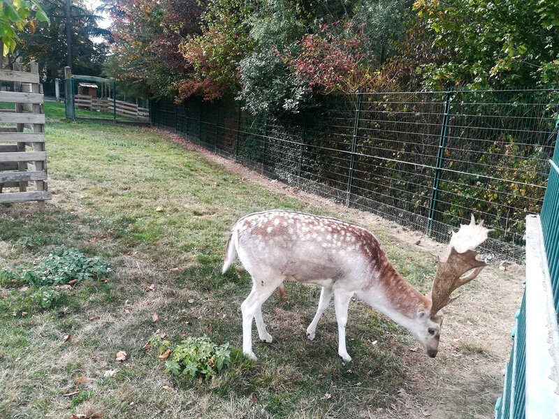 parc Labesse, 26 oct 2018 (7)
