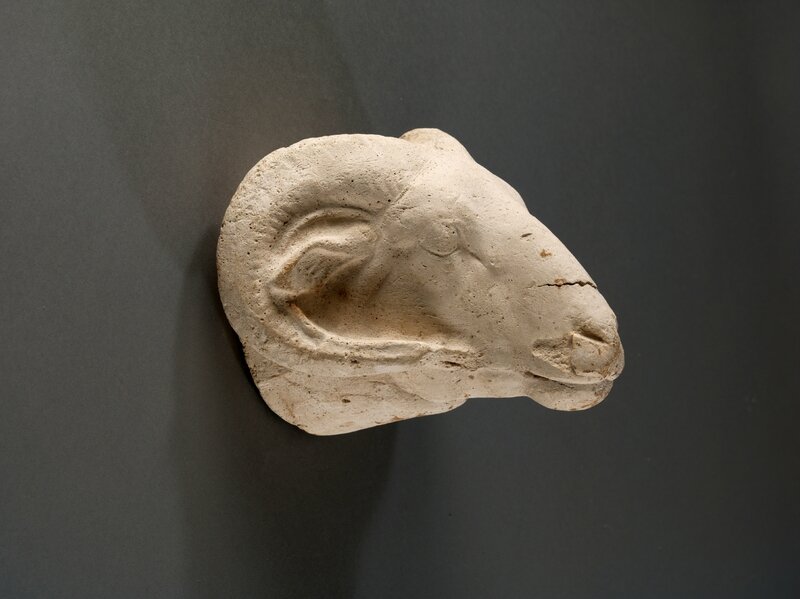 modelo-de-escultor-cabeza-de-carnero-ovis-platyura-aegyptiaca-yeso-baja-epoca-664-332-a-c-c-musee-du-louvre-dist-rm
