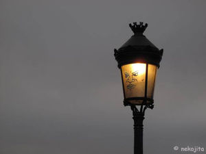 IMG_4372c