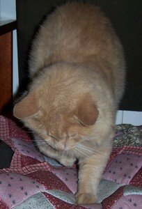 20060925_013