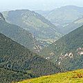 fond-de-lourdios05
