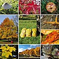 L'automne