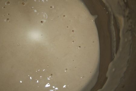 Poolish_Avant