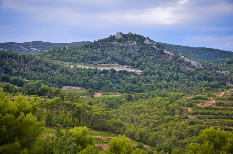 DSC_6316;