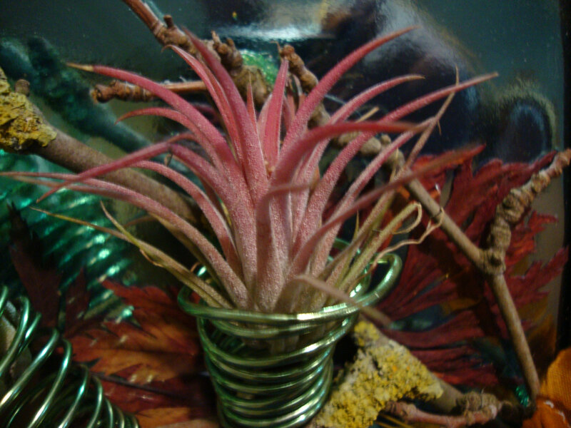 DSC05990