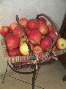 cadeaux pommes 003