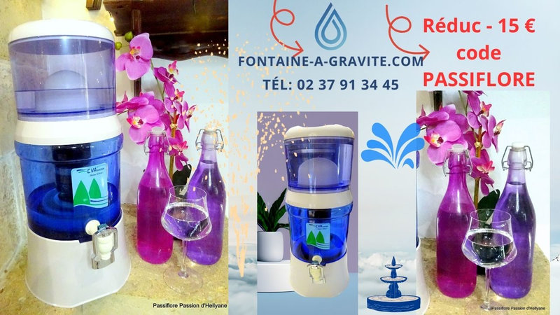 FONTAINE A GRAVITE - EAU PURE - Fontaine Eva bep - cuve en verre, - avec  système magnétique - Passiflore, Passion d'Héllyane