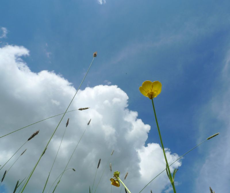 038