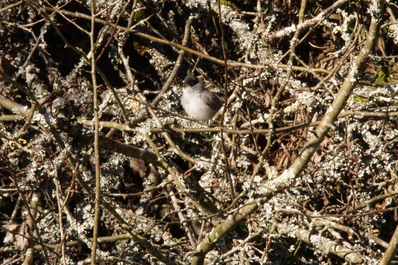 DSC02499