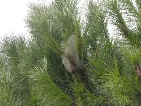 P2250049