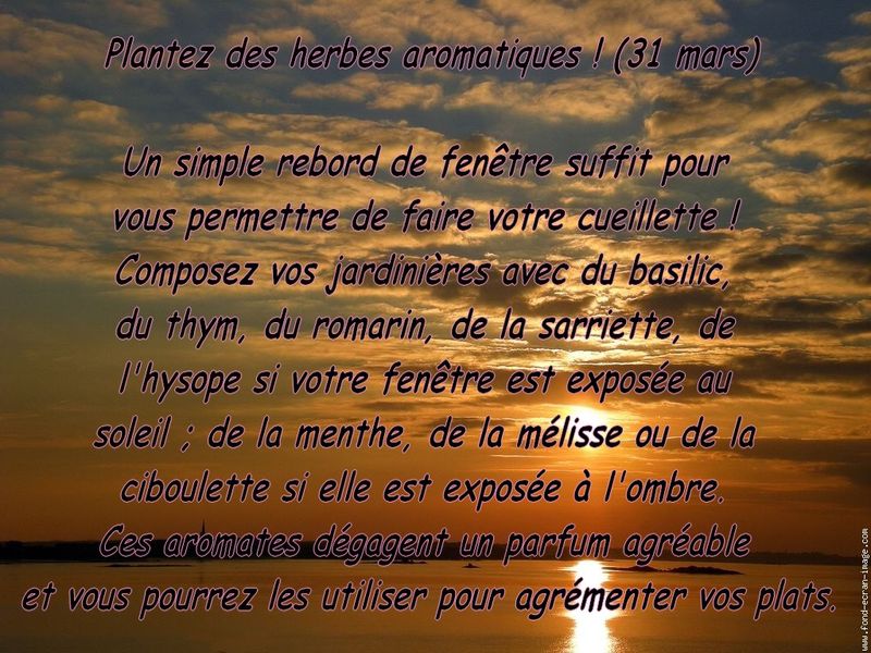 Zen Attitude 31 Mars Latelierdelisette