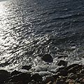 _DSC0577