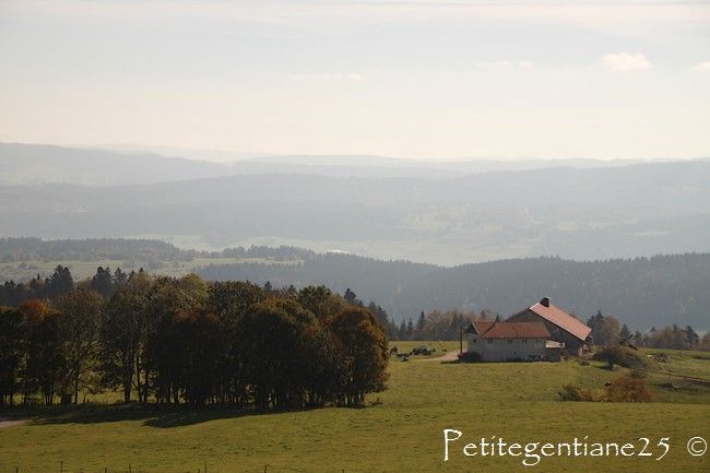 IMG_3578