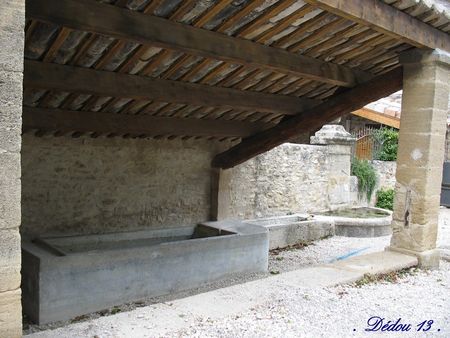 Photo_308