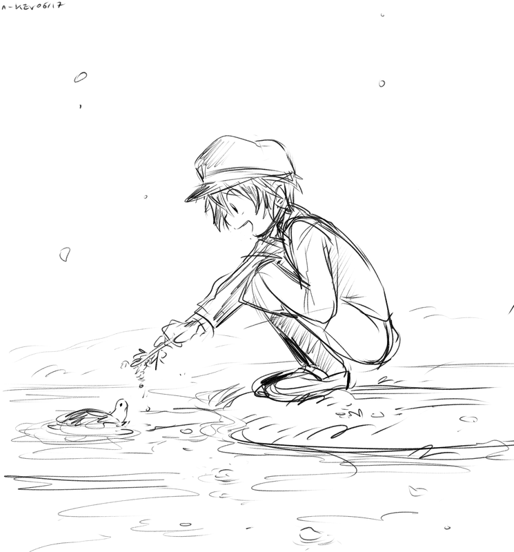 tortue