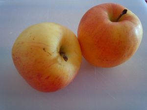 pommes farcies (9)