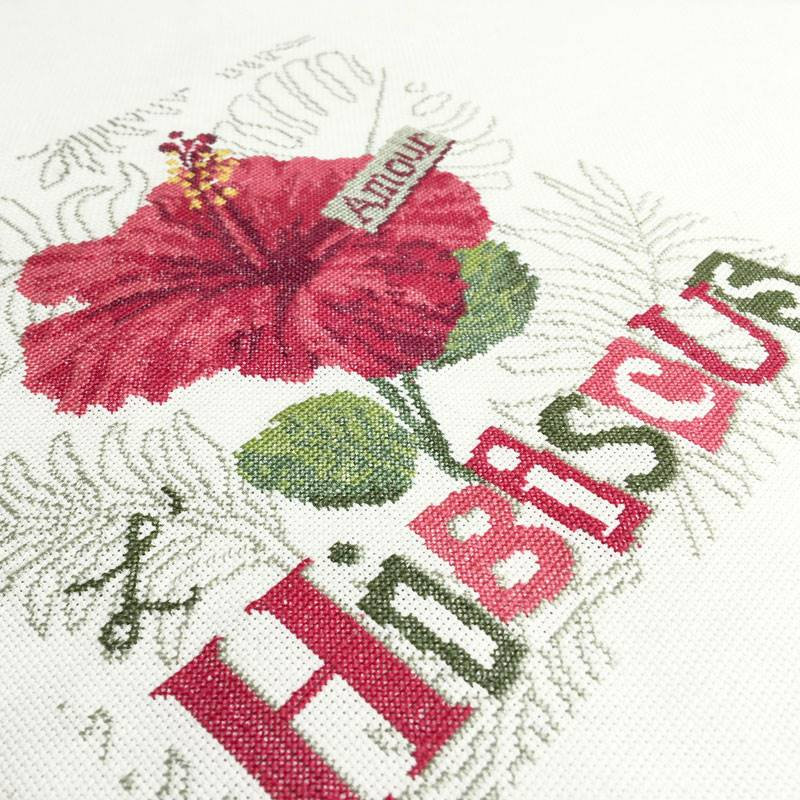 hibiscus