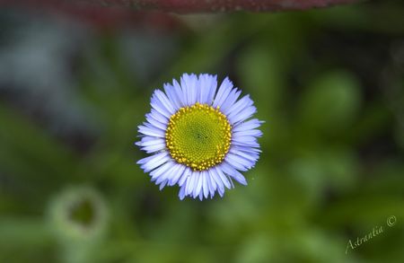 DSC_7708_border