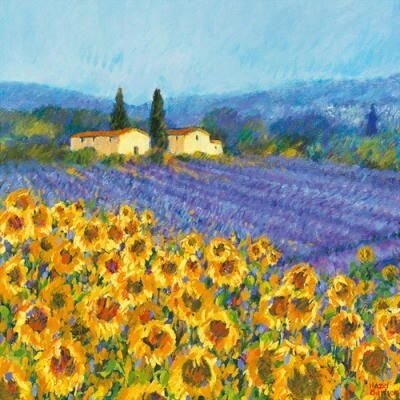 Vincent Van Gogh et la Provence