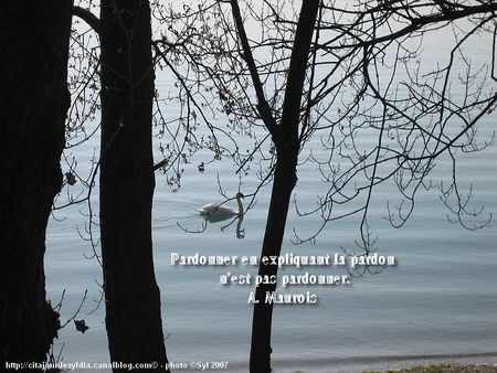 t_IMG_6704