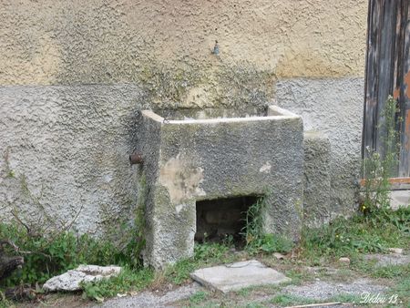 Photo_243