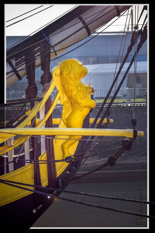 Le lion, figure de proue de La frégate Hermione Lafayette Rochefort (3)