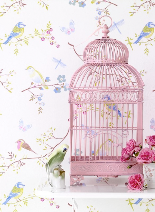 bird-cage