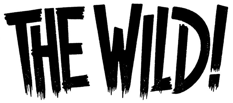 THE WILD! logo print