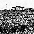 Agriculture coloniale marocaine un modèle californien