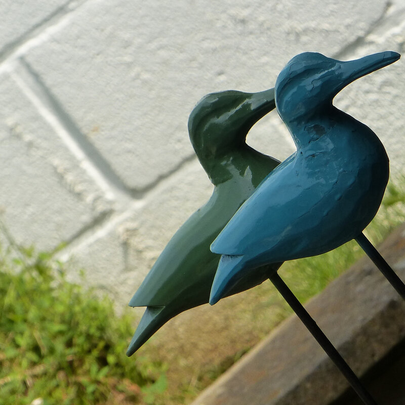 mouettes (2)