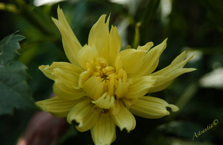 DSC_4247_border